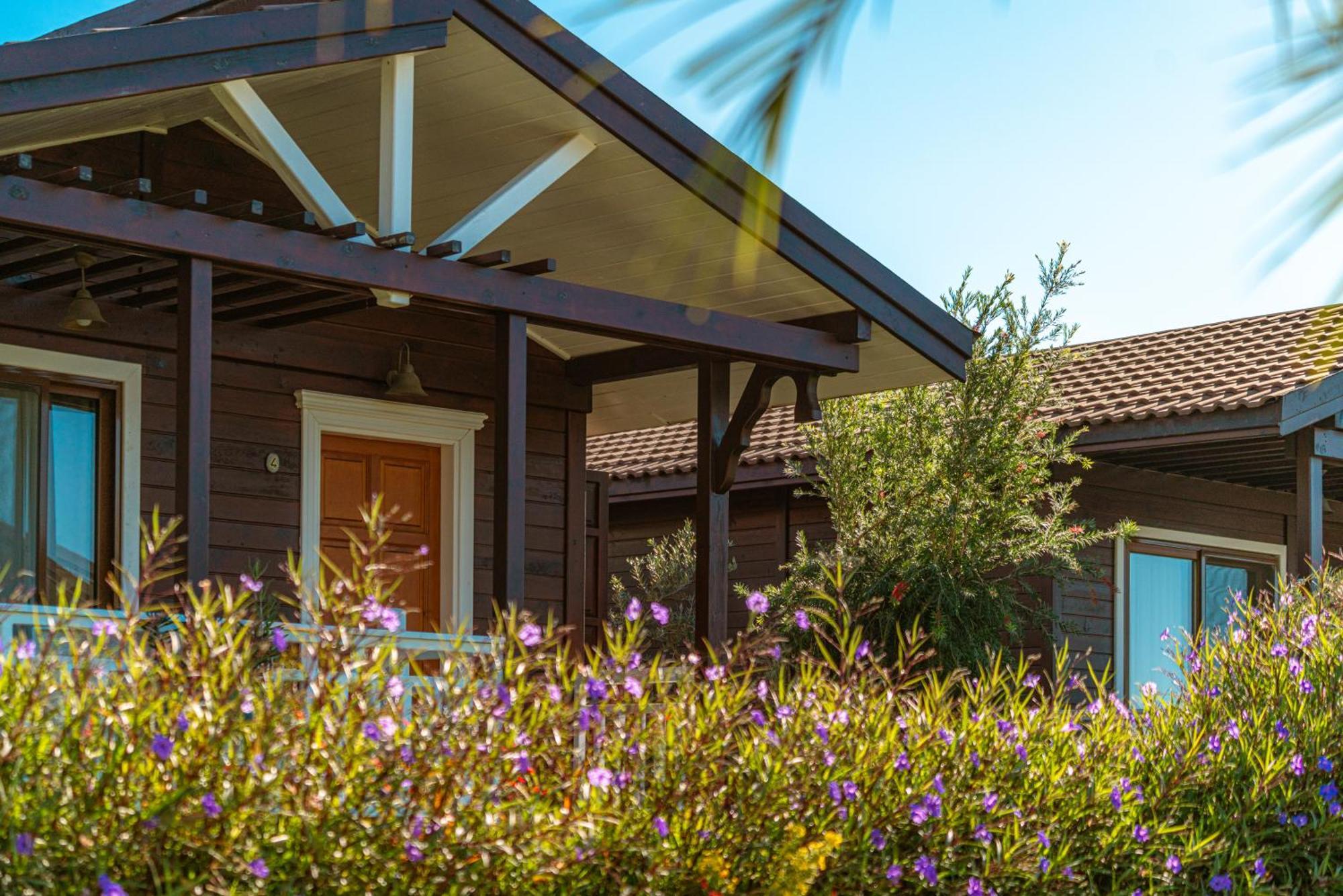 Sedir Park - Beach Bungalow Kargıcak Eksteriør billede
