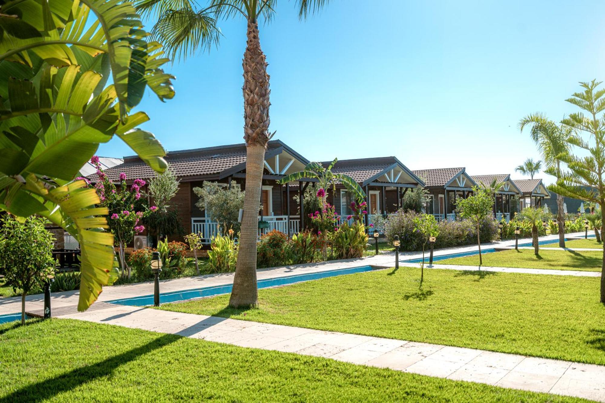 Sedir Park - Beach Bungalow Kargıcak Eksteriør billede