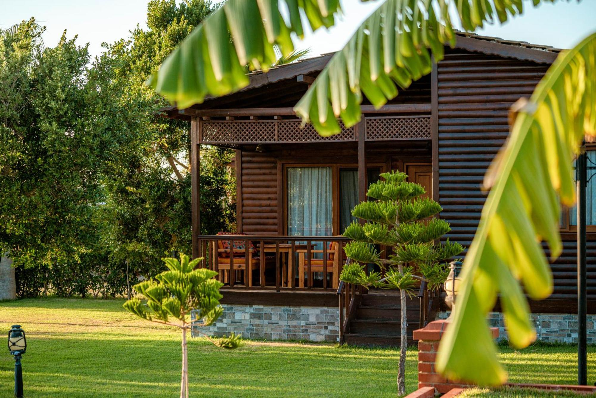 Sedir Park - Beach Bungalow Kargıcak Eksteriør billede