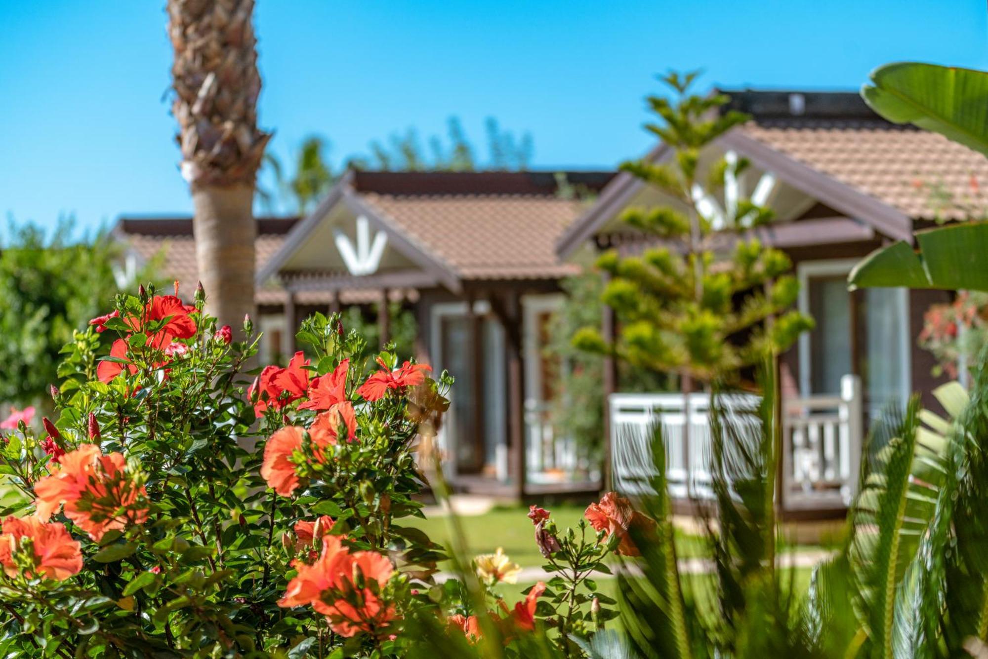 Sedir Park - Beach Bungalow Kargıcak Eksteriør billede