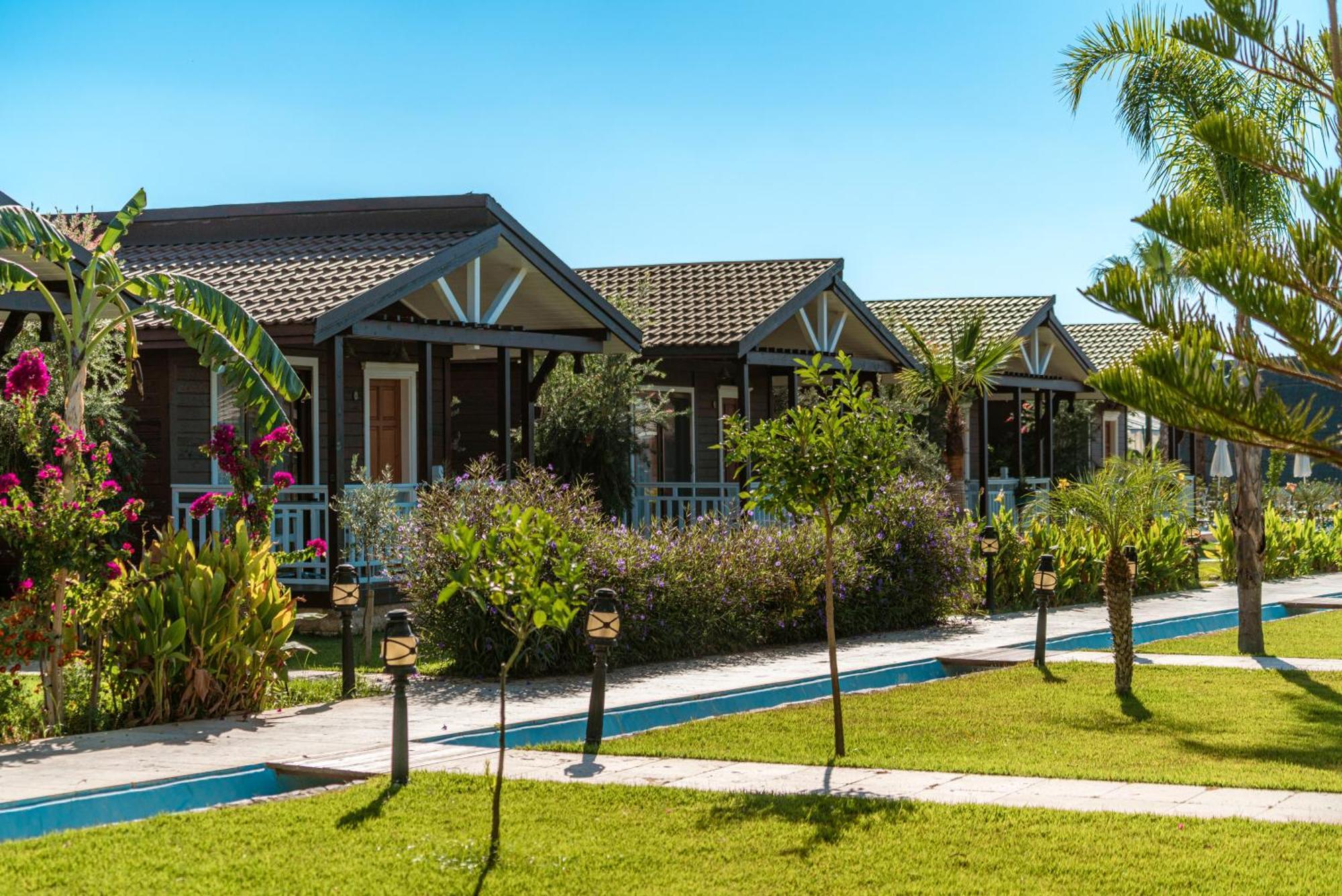 Sedir Park - Beach Bungalow Kargıcak Eksteriør billede