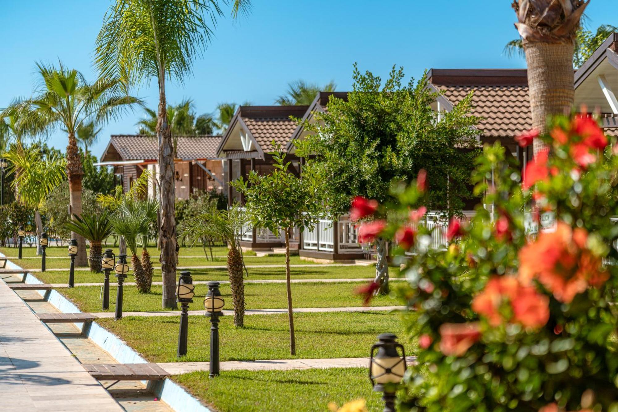 Sedir Park - Beach Bungalow Kargıcak Eksteriør billede