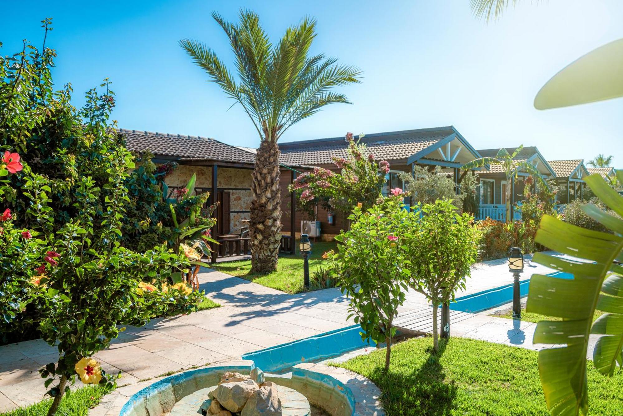Sedir Park - Beach Bungalow Kargıcak Eksteriør billede