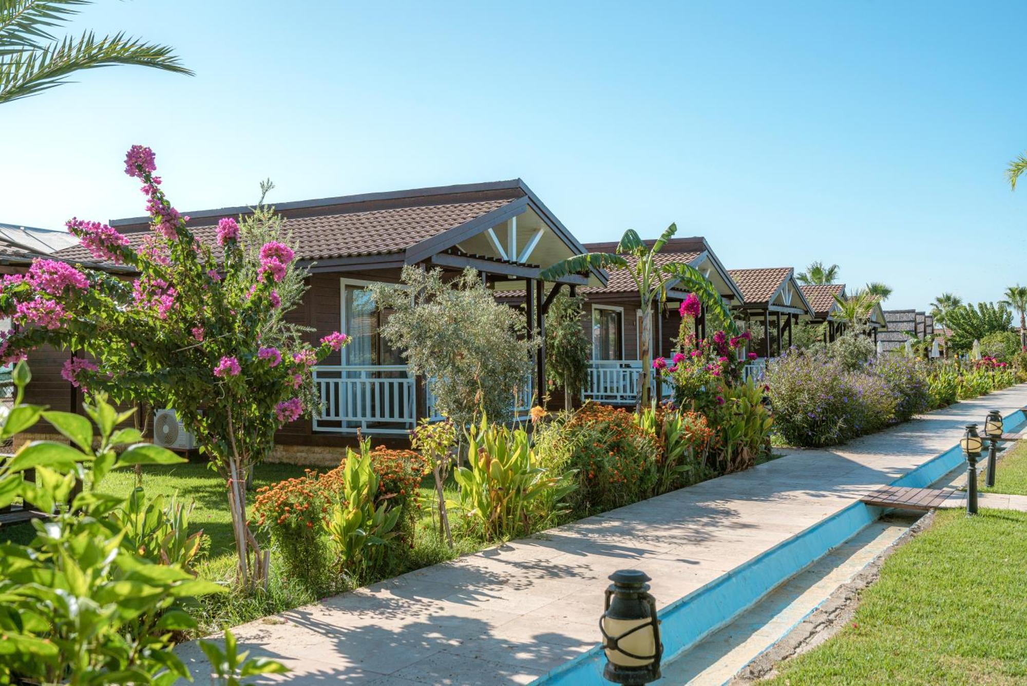 Sedir Park - Beach Bungalow Kargıcak Eksteriør billede