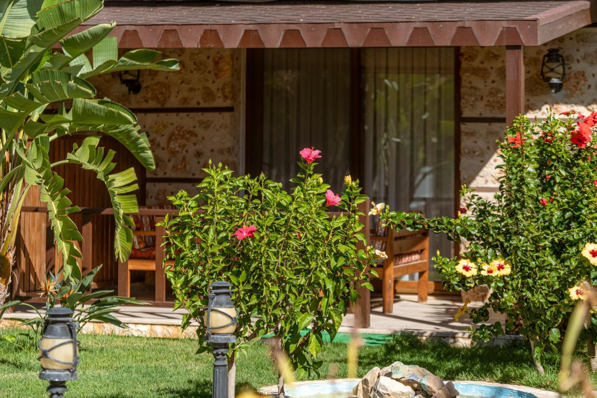 Sedir Park - Beach Bungalow Kargıcak Eksteriør billede