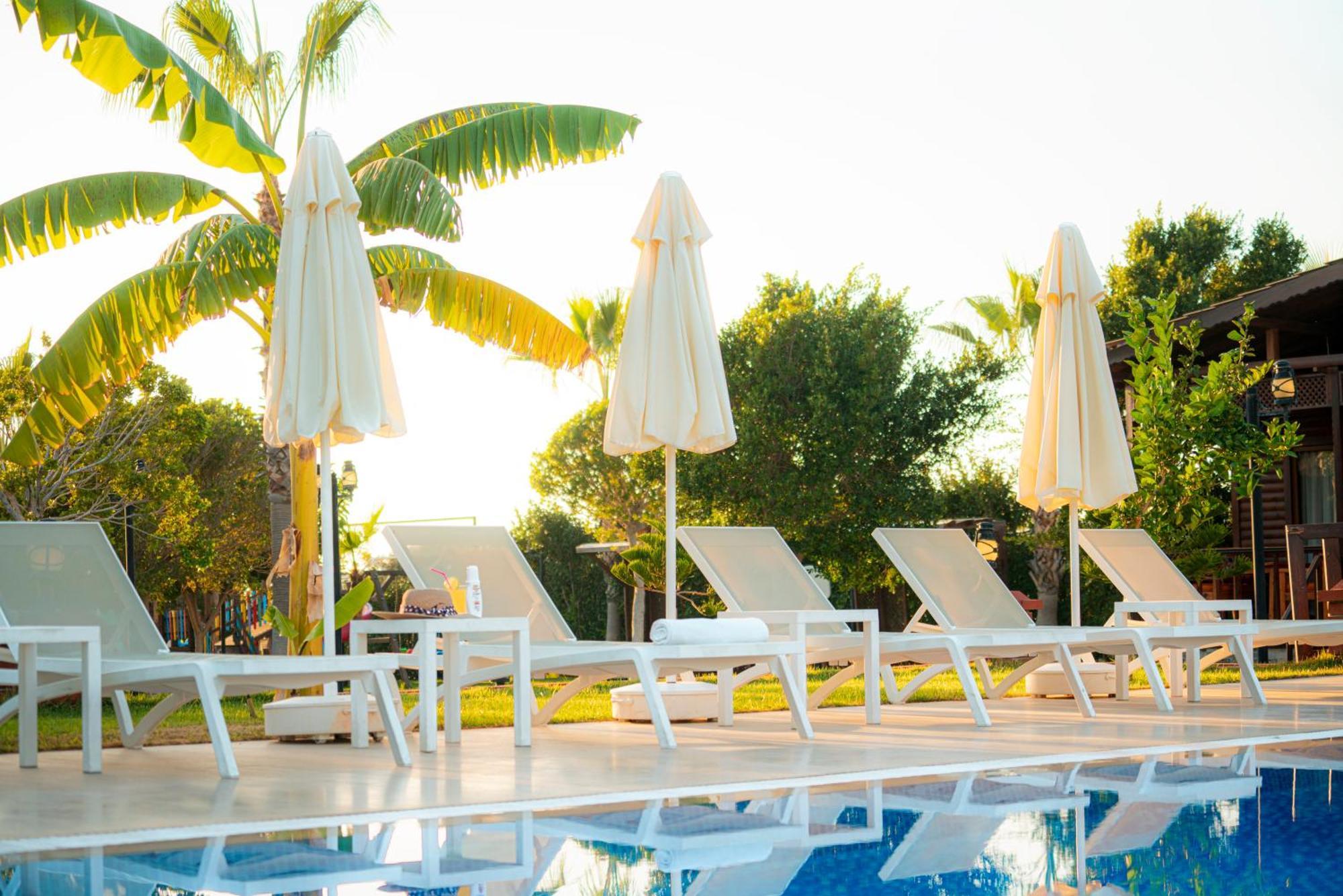 Sedir Park - Beach Bungalow Kargıcak Eksteriør billede