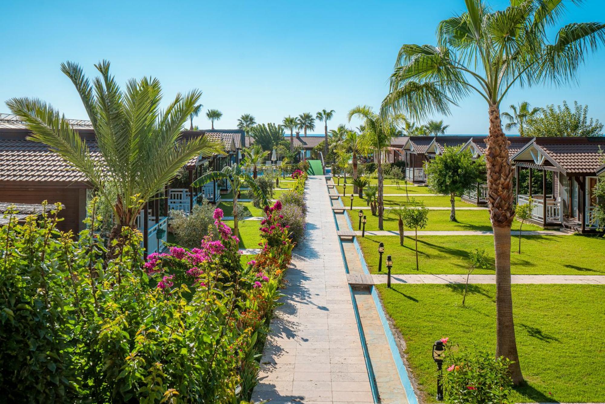Sedir Park - Beach Bungalow Kargıcak Eksteriør billede