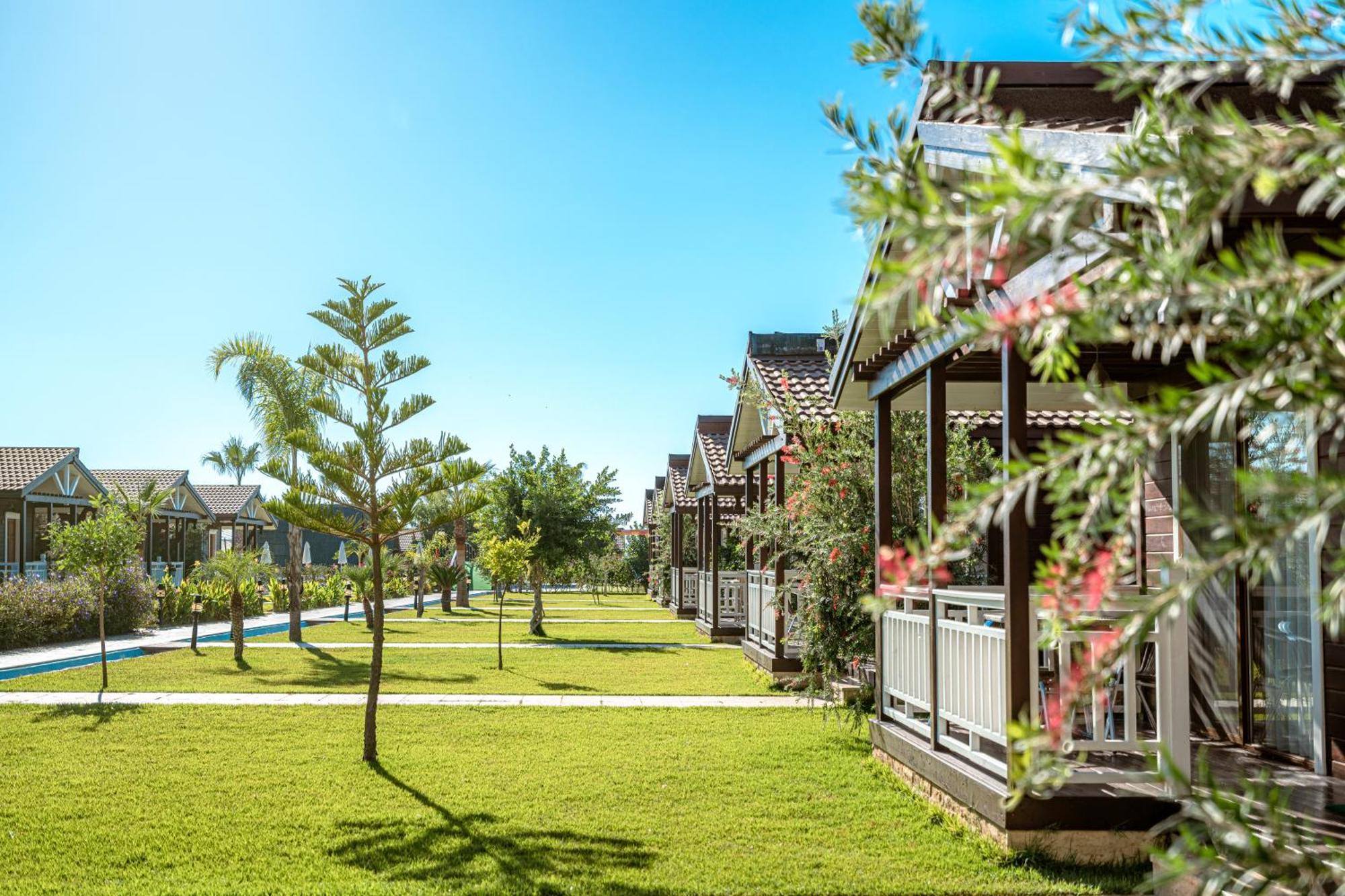 Sedir Park - Beach Bungalow Kargıcak Eksteriør billede