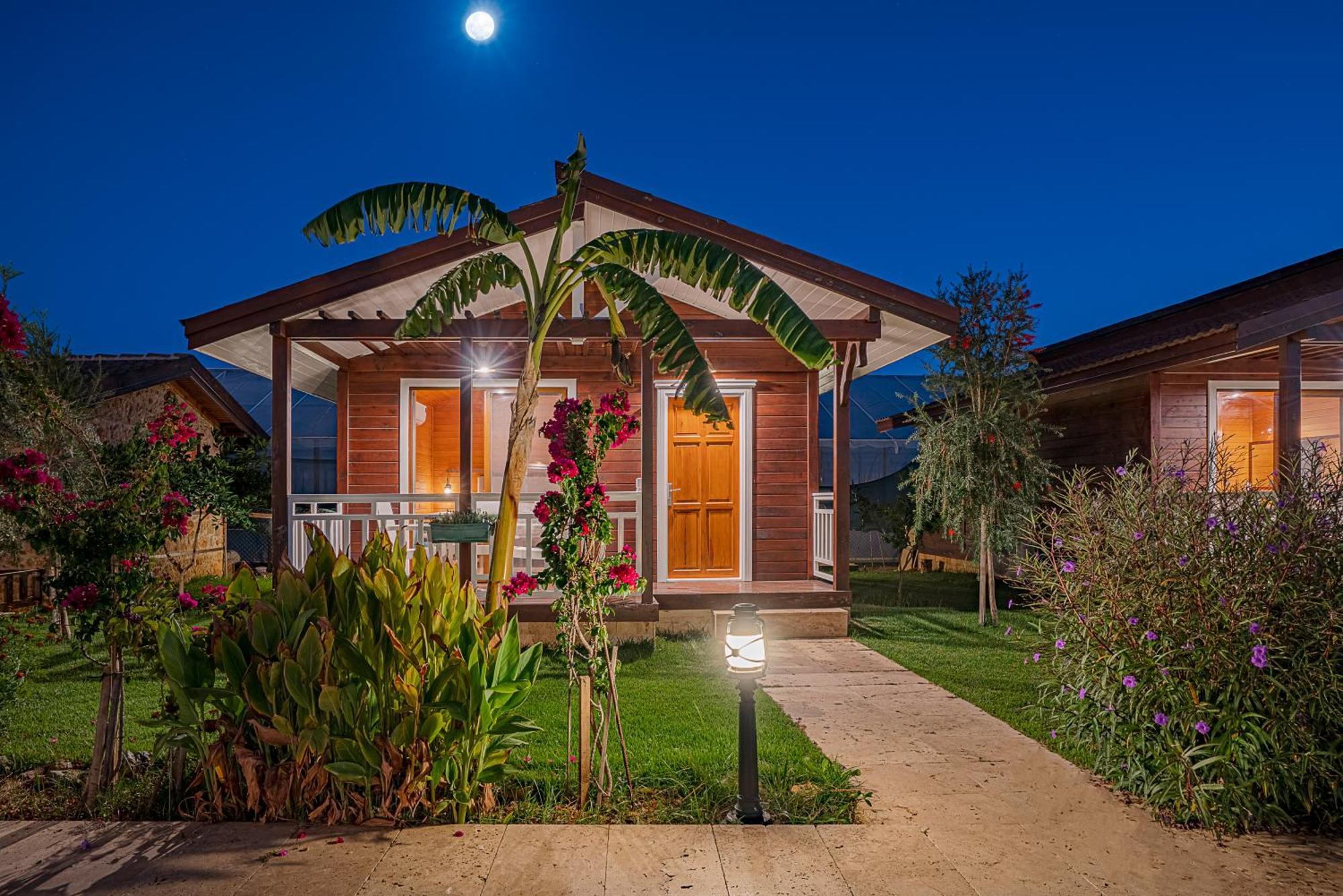 Sedir Park - Beach Bungalow Kargıcak Eksteriør billede