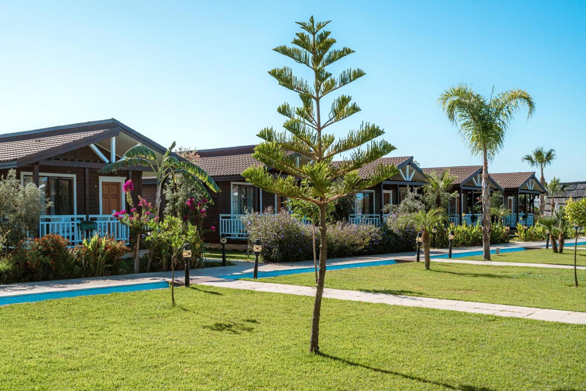 Sedir Park - Beach Bungalow Kargıcak Eksteriør billede