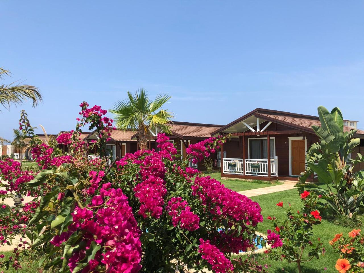 Sedir Park - Beach Bungalow Kargıcak Eksteriør billede